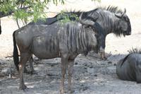 &copy; Tom Finke (Eberhardt TRAVEL)