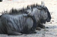 &copy; Tom Finke (Eberhardt TRAVEL)