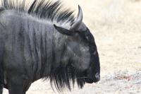 &copy; Tom Finke (Eberhardt TRAVEL)