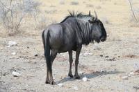 &copy; Tom Finke (Eberhardt TRAVEL)