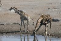 &copy; Tom Finke (Eberhardt TRAVEL)