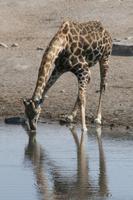 &copy; Tom Finke (Eberhardt TRAVEL)