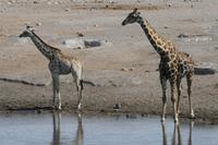 &copy; Tom Finke (Eberhardt TRAVEL)