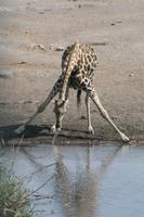 &copy; Tom Finke (Eberhardt TRAVEL)