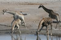 &copy; Tom Finke (Eberhardt TRAVEL)