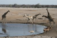 &copy; Tom Finke (Eberhardt TRAVEL)