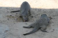 &copy; Tom Finke (Eberhardt TRAVEL)