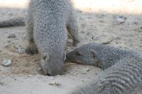 &copy; Tom Finke (Eberhardt TRAVEL)