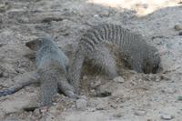 &copy; Tom Finke (Eberhardt TRAVEL)