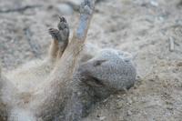 &copy; Tom Finke (Eberhardt TRAVEL)