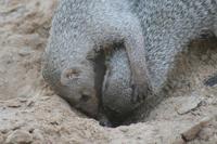 &copy; Tom Finke (Eberhardt TRAVEL)