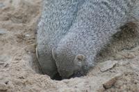 &copy; Tom Finke (Eberhardt TRAVEL)