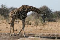 &copy; Tom Finke (Eberhardt TRAVEL)