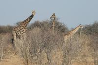 &copy; Tom Finke (Eberhardt TRAVEL)