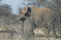 &copy; Tom Finke (Eberhardt TRAVEL)