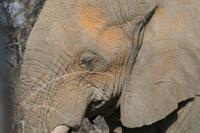 &copy; Tom Finke (Eberhardt TRAVEL)