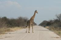 &copy; Tom Finke (Eberhardt TRAVEL)