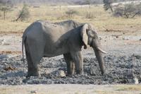 &copy; Tom Finke (Eberhardt TRAVEL)