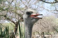 &copy; Tom Finke (Eberhardt TRAVEL)