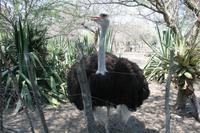 &copy; Tom Finke (Eberhardt TRAVEL)