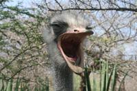 &copy; Tom Finke (Eberhardt TRAVEL)