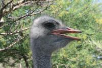 &copy; Tom Finke (Eberhardt TRAVEL)