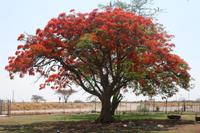 &copy; Tom Finke (Eberhardt TRAVEL)