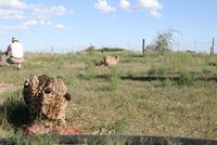 MIttendrin statt nur dabei