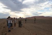 Am Morgen in den Dünen