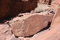 Felsmalereien in Twyfelsfontein