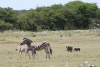 In Afrika ist Muttertag