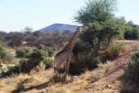 363-Namibia