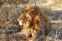 372-Namibia