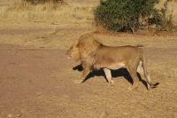 375-Namibia