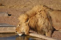 377-Namibia