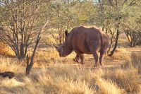 381-Namibia