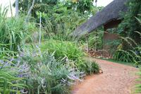 Uris Safari Lodge
