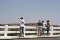 es weht eine steife Briese