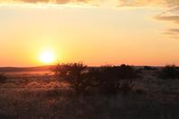 Sonnenuntergang im Sossussvlei