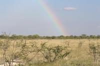 Regenbogen im Etosha