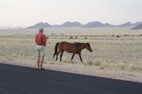Günter auf Augenhöhe mit einem Wildpferd