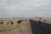 Christian inmitten Namibischer Weite und Wildpferden