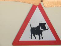 0146 Fahrt von Kethmanshop zur Canon Lodge - Canon Road Haus - Achtung vor Warzenschweinen