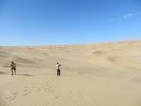 0273 Fahrt nach Lüderitz - Sanddünen