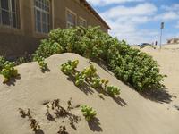 0303 Kolmannskuppe -