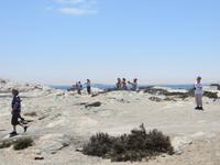 0311 Lüderitzbucht - Am Diaz Point