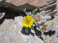 0333 Lüderitzbucht -