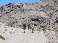 0334 Lüderitzbucht - Spaziergang zum Fjord