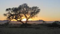 0470 Ausflug nach Sossovlei - Sonnenaufgang