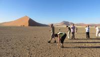 0490 Ausflug nach Sossovlei - Auf Steinsuche